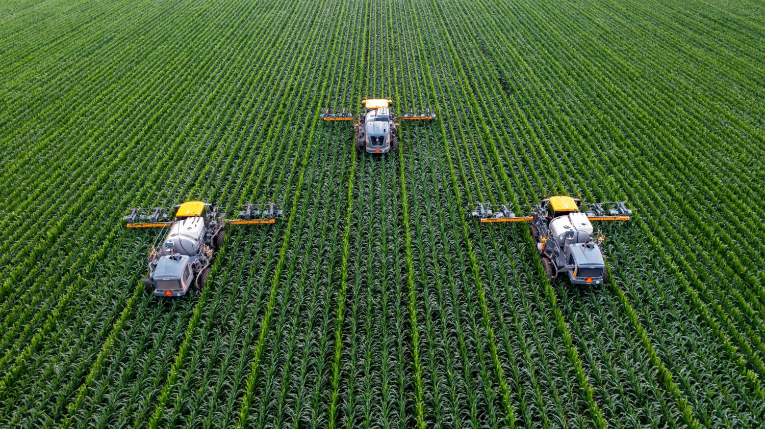 Fleet of tractors harvesting crops